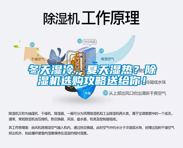 冬天濕冷，夏天濕熱？除濕機選購攻略送給你！