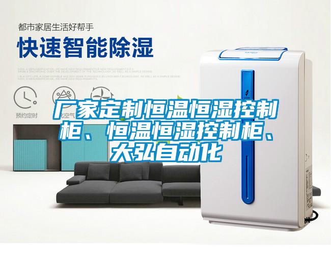 廠家定制恒溫恒濕控制柜、恒溫恒濕控制柜、大弘自動化