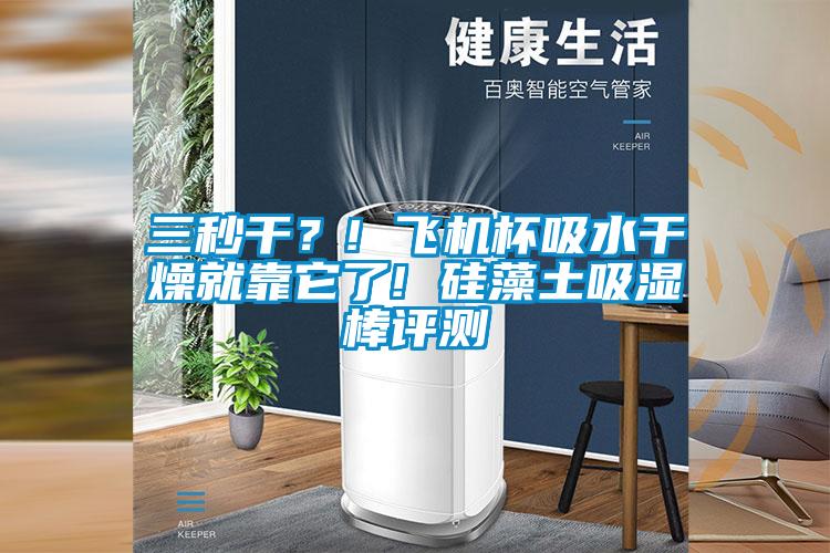 三秒干？! 飛機杯吸水干燥就靠它了! 硅藻土吸濕棒評測