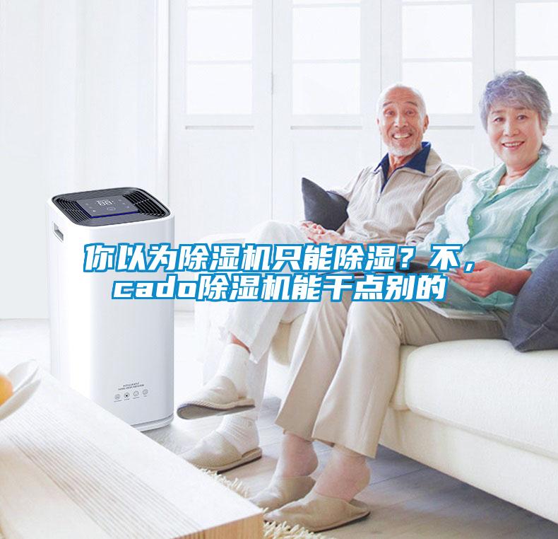 你以為除濕機只能除濕？不，cado除濕機能干點別的