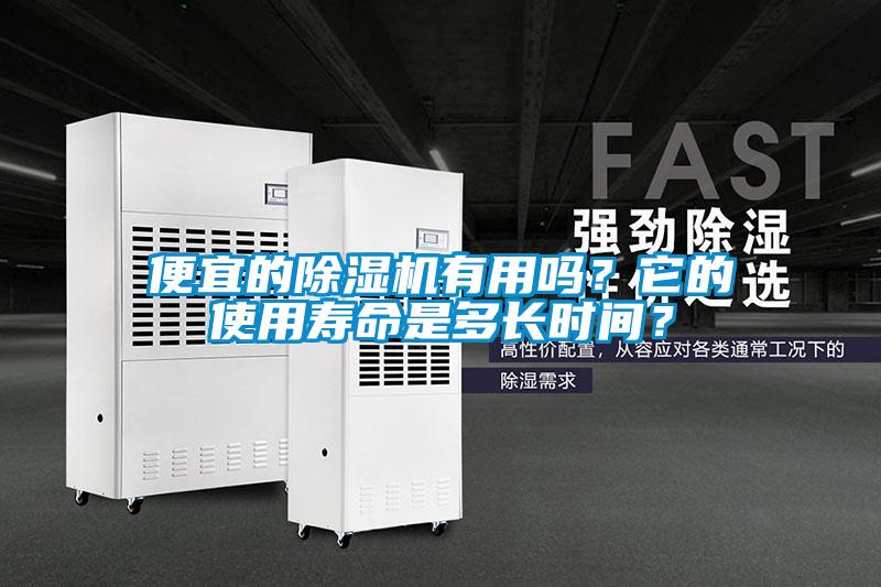 便宜的除濕機有用嗎？它的使用壽命是多長時間？