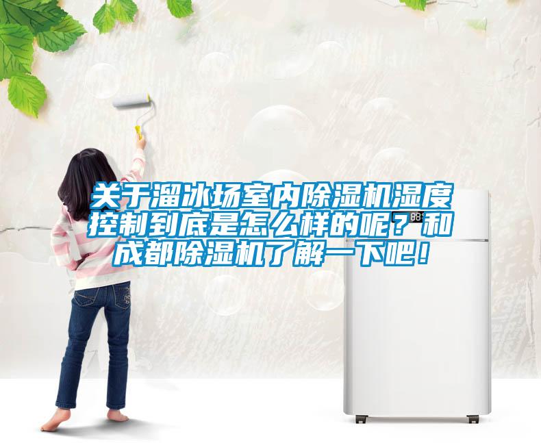 關于溜冰場室內除濕機濕度控制到底是怎么樣的呢？和成都除濕機了解一下吧！