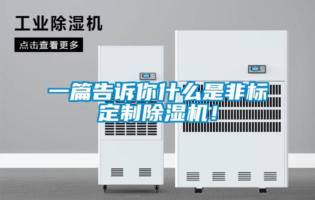 一篇告訴你什么是非標定制除濕機！