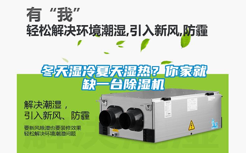 冬天濕冷夏天濕熱？你家就缺一臺除濕機
