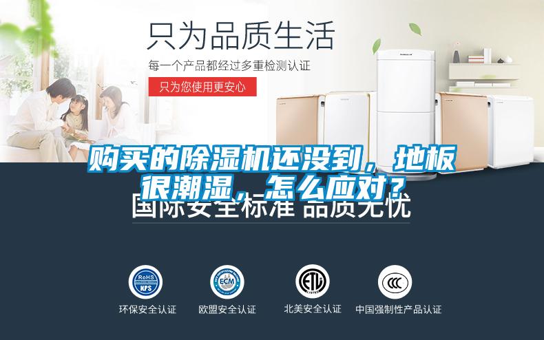 購買的除濕機還沒到，地板很潮濕，怎么應對？