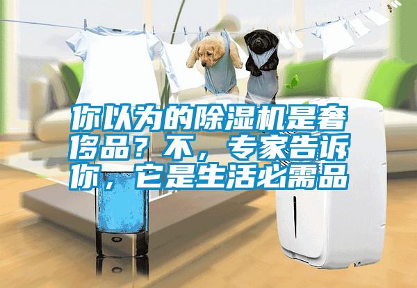 你以為的除濕機是奢侈品？不，專家告訴你，它是生活必需品