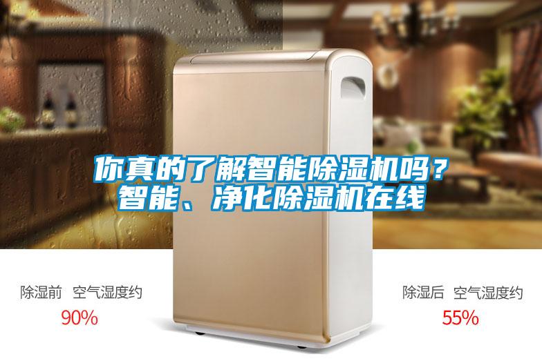 你真的了解智能除濕機嗎？智能、凈化除濕機在線
