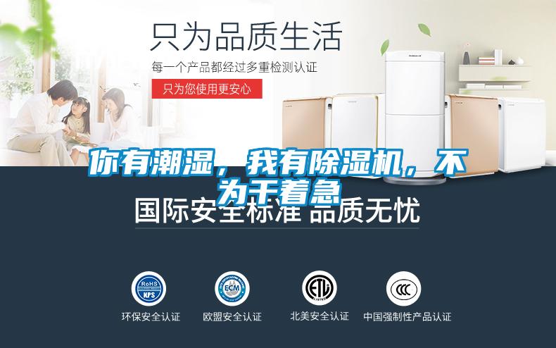 你有潮濕，我有除濕機，不為干著急