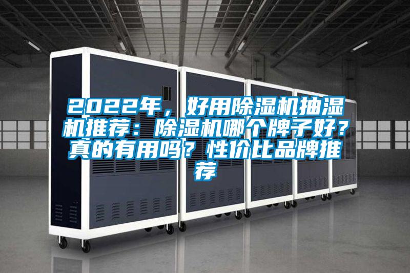 2022年，好用除濕機抽濕機推薦：除濕機哪個牌子好？真的有用嗎？性價比品牌推薦