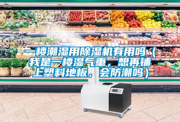 一樓潮濕用除濕機有用嗎（我是一樓濕氣重，想再鋪上塑料地板，會防潮嗎）
