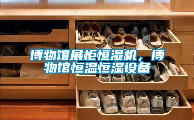 博物館展柜恒濕機，博物館恒溫恒濕設備