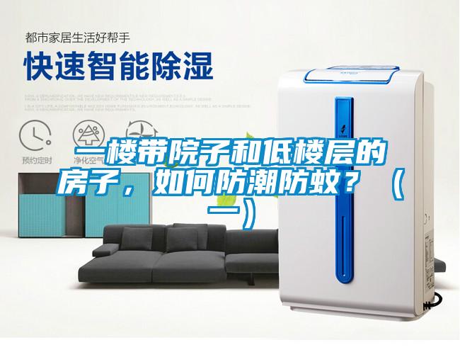 一樓帶院子和低樓層的房子，如何防潮防蚊？（一）