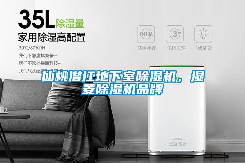 仙桃潛江地下室除濕機，濕菱除濕機品牌