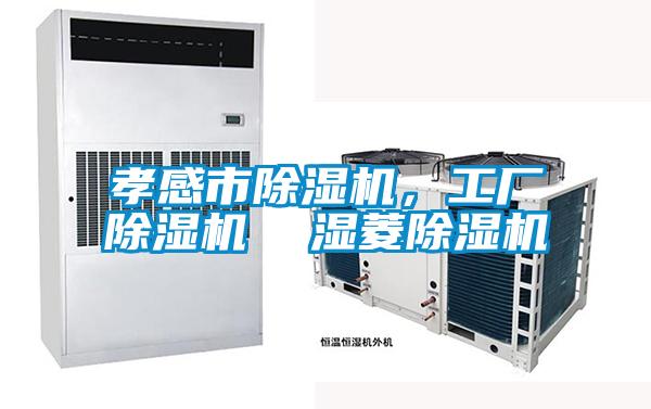 孝感市除濕機，工廠除濕機  濕菱除濕機