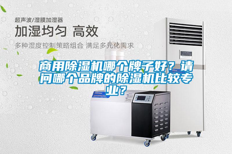 商用除濕機哪個牌子好？請問哪個品牌的除濕機比較專業？