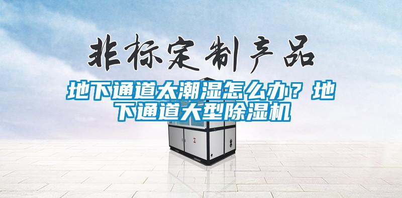 地下通道太潮濕怎么辦？地下通道大型除濕機