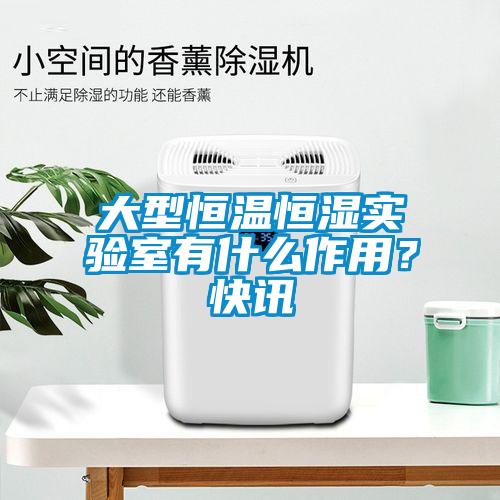 大型恒溫恒濕實驗室有什么作用？快訊