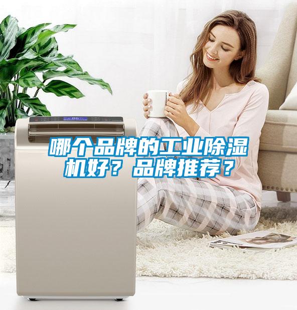 哪個品牌的工業除濕機好？品牌推薦？