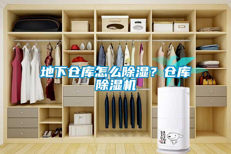 地下倉庫怎么除濕？倉庫除濕機