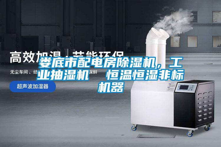 婁底市配電房除濕機，工業抽濕機  恒溫恒濕非標機器