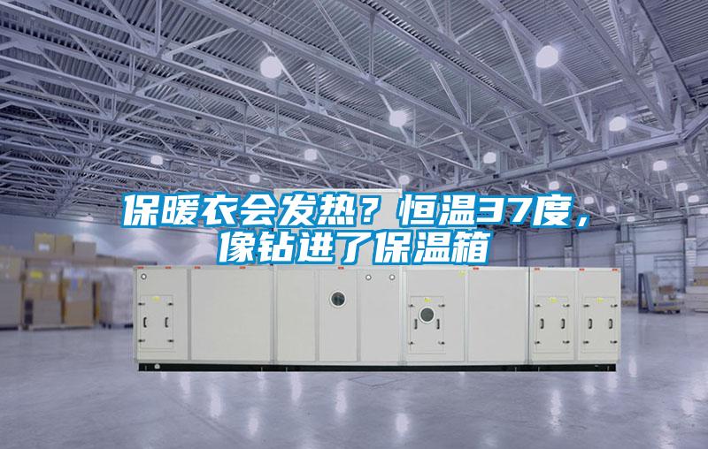 保暖衣會發熱？恒溫37度，像鉆進了保溫箱