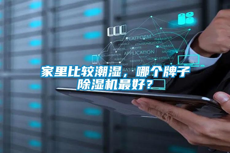 家里比較潮濕，哪個牌子除濕機最好？