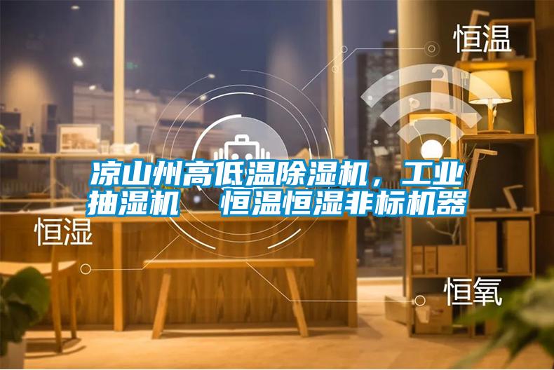 涼山州高低溫除濕機，工業抽濕機  恒溫恒濕非標機器