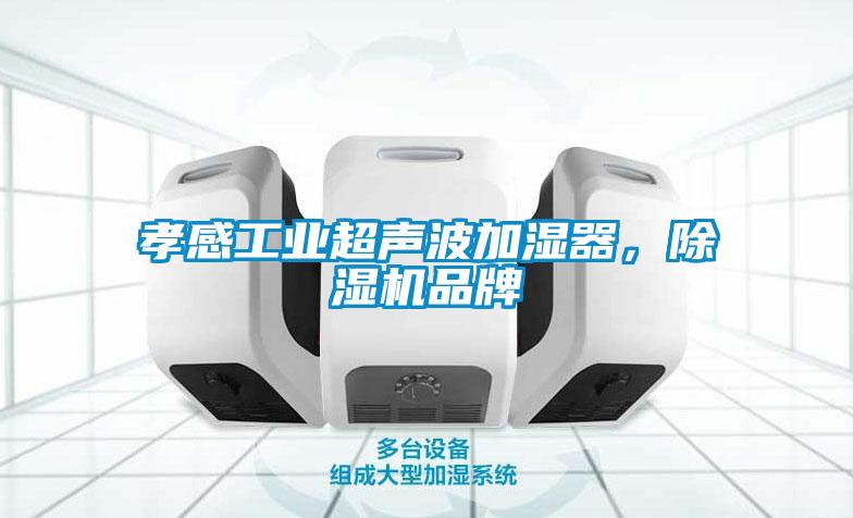 孝感工業超聲波加濕器，除濕機品牌