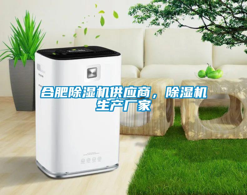 合肥除濕機供應商，除濕機生產廠家