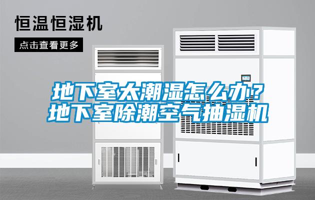 地下室太潮濕怎么辦？地下室除潮空氣抽濕機