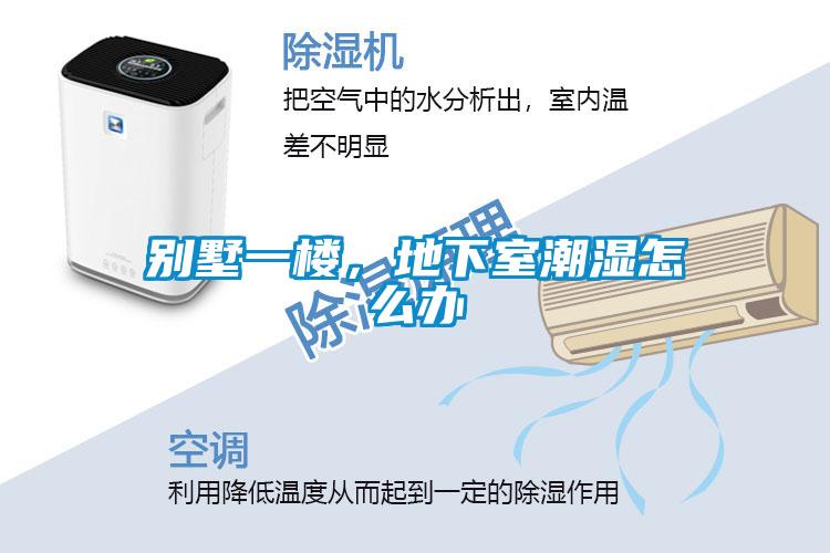 別墅一樓，地下室潮濕怎么辦