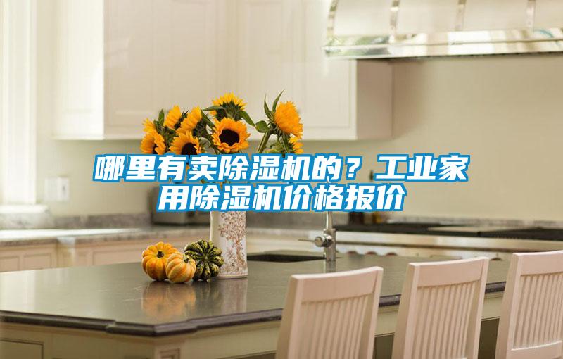 哪里有賣除濕機的？工業家用除濕機價格報價