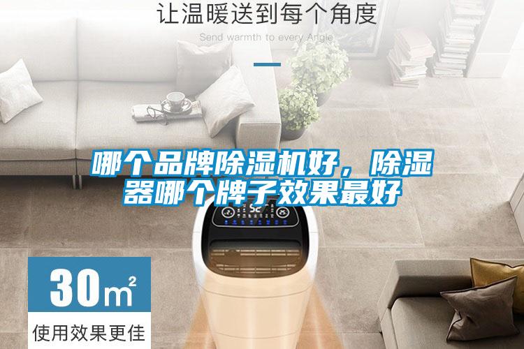 哪個品牌除濕機好，除濕器哪個牌子效果最好