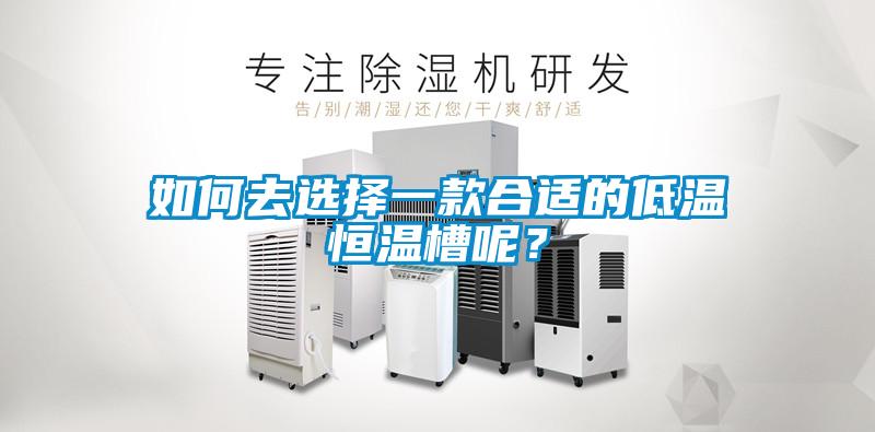 如何去選擇一款合適的低溫恒溫槽呢？