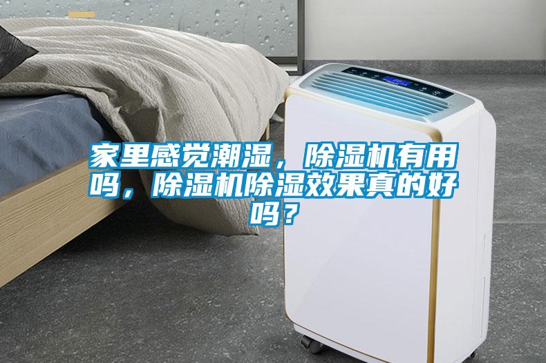 家里感覺潮濕，除濕機有用嗎，除濕機除濕效果真的好嗎？