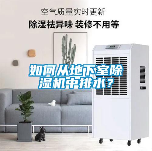 如何從地下室除濕機中排水？