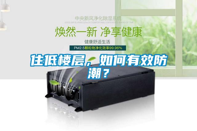 住低樓層，如何有效防潮？