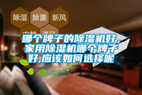 哪個牌子的除濕機好，家用除濕機哪個牌子好,應該如何選擇呢