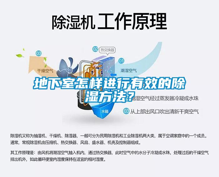地下室怎樣進行有效的除濕方法？