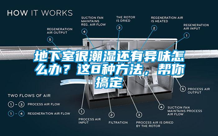 地下室很潮濕還有異味怎么辦？這8種方法，幫你搞定