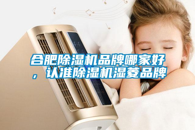 合肥除濕機品牌哪家好，認準除濕機濕菱品牌