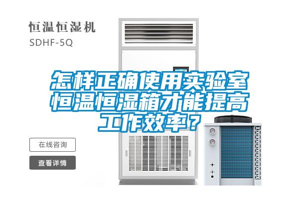 怎樣正確使用實驗室恒溫恒濕箱才能提高工作效率？