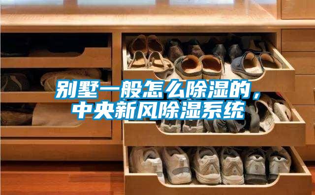 別墅一般怎么除濕的，中央新風除濕系統