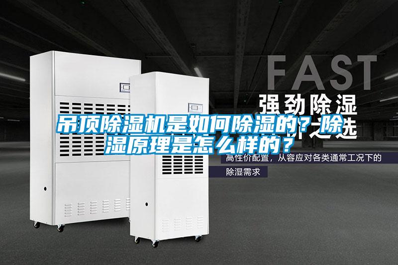 吊頂除濕機是如何除濕的？除濕原理是怎么樣的？