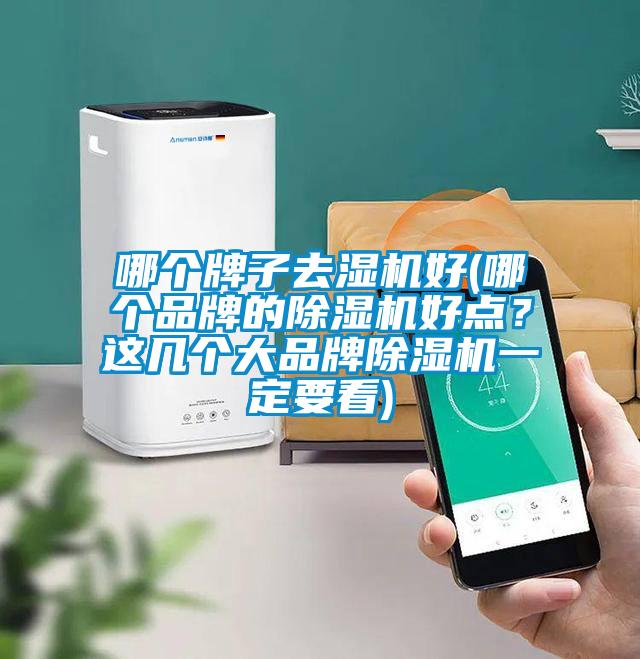 哪個牌子去濕機好(哪個品牌的除濕機好點？這幾個大品牌除濕機一定要看)