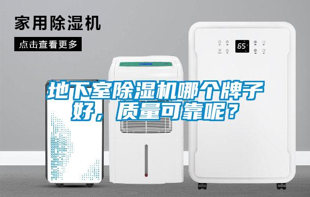 地下室除濕機哪個牌子好，質量可靠呢？