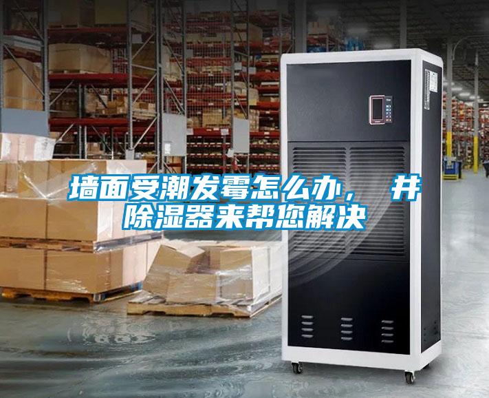 墻面受潮發霉怎么辦，東井除濕器來幫您解決