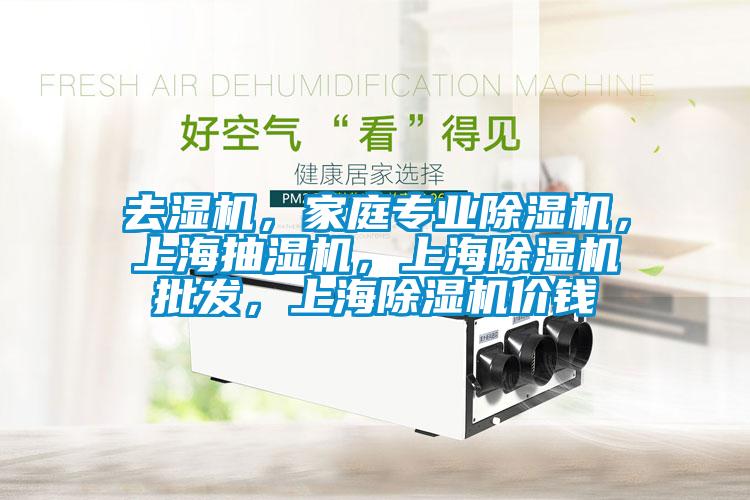 去濕機，家庭專業除濕機，上海抽濕機，上海除濕機批發，上海除濕機價錢