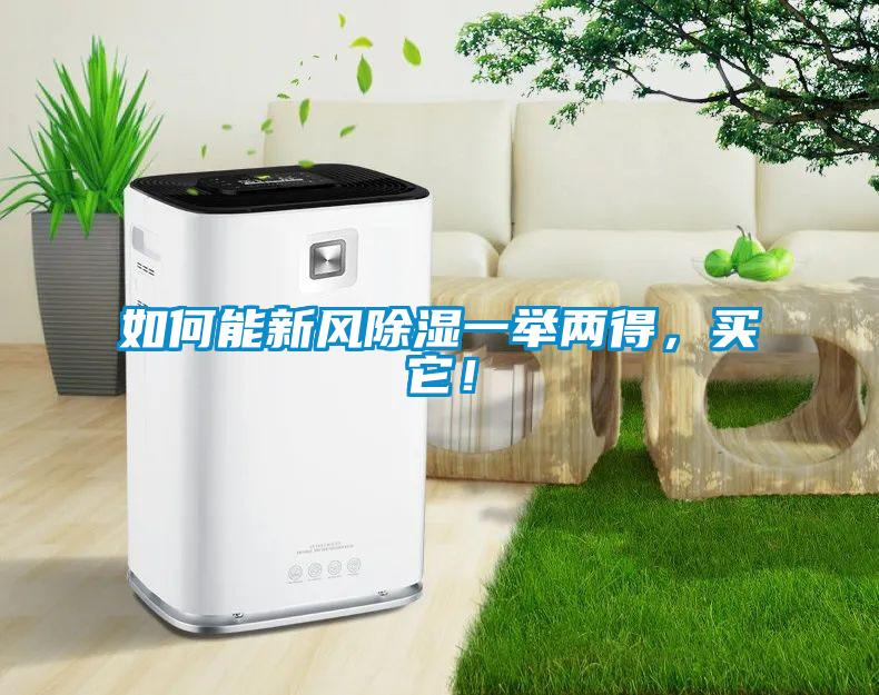 如何能新風除濕一舉兩得，買它！