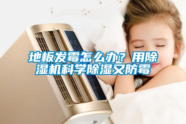 地板發霉怎么辦？用除濕機科學除濕又防霉